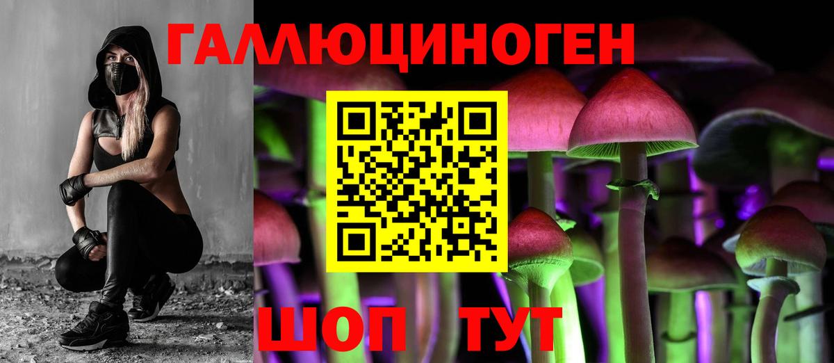 Псилоцибиновые грибы Magic Shrooms  Вход с VPN  Шелехов  Галлюциногенные грибы мицелий 